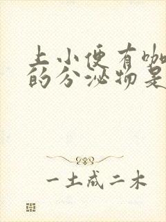 上小便有咖啡色的分泌物是什么原因