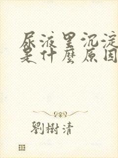 尿液里沉淀血点是什么原因