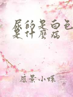 尿的是白色米汤是什么病