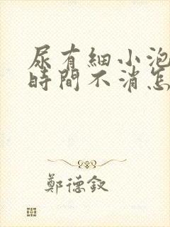 尿有细小泡沫长时间不消怎么办