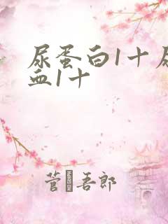 尿蛋白1十尿潜血1十