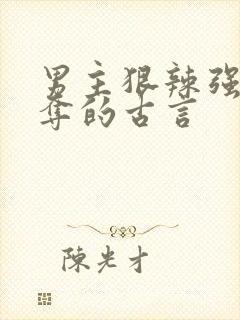 男主狠辣强取豪夺的古言