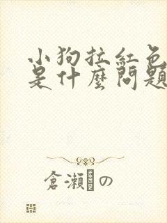 小狗拉红色便便是什么问题