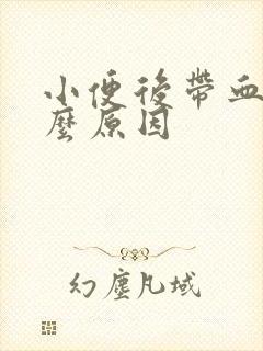 小便后带血是什么原因