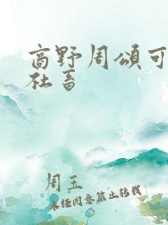 商野周颂可怜的社畜