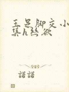 玉足脚交小说合集h丝欲