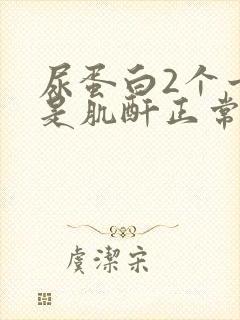 尿蛋白2个十但是肌酐正常怎么回事