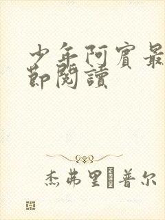 少年阿宾最新章节阅读