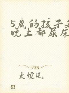 5岁的孩子每天晚上都尿床是怎么回事