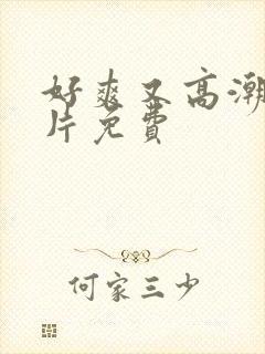 好爽又高潮了毛片免费