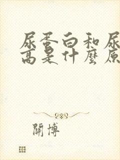 尿蛋白和尿肌酐高是什么原因