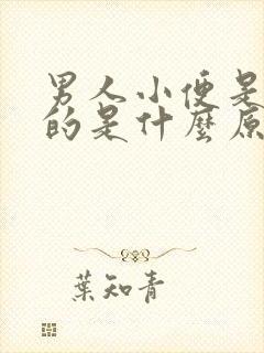 男人小便是红色的是什么原因