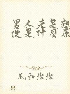 男人老是想上小便是什么原因