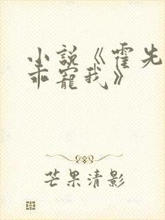 小说《霍先生乖乖宠我》