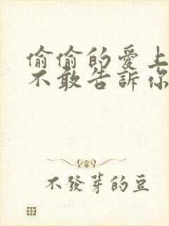 偷偷的爱上你却不敢告诉你什么歌