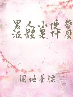 男人小便带白色液体是什么原因