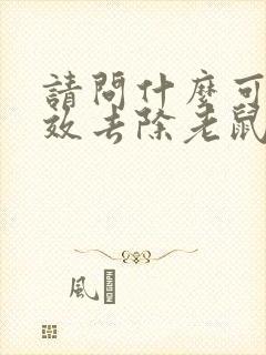 请问什么可以有效去除老鼠屎尿的味道