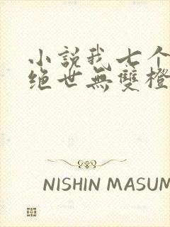 小说我七个姐姐绝世无双橙年岁月