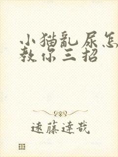 小猫乱尿怎么办教你三招