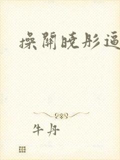 操关晓彤逼小说