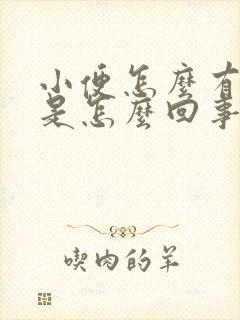 小便怎么有泡沫是怎么回事