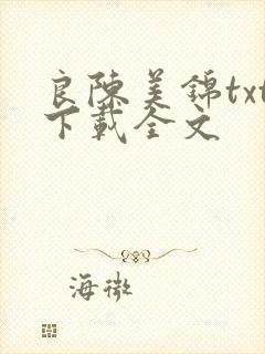 良陈美锦txt下载全文