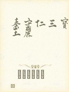 秦守仁三宝局长王丽