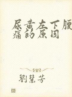 尿黄左下腹部隐痛的原因