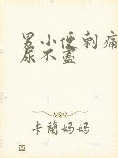 男小便刺痛尿频尿不尽