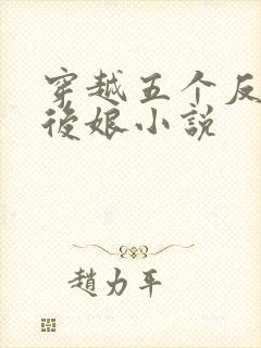 穿越五个反派的后娘小说