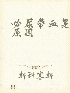 必尿带血是什么原因