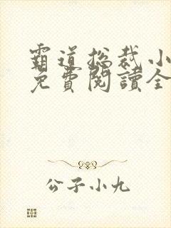 霸道总裁小娇妻免费阅读全文