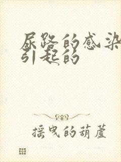 尿路的感染怎么引起的