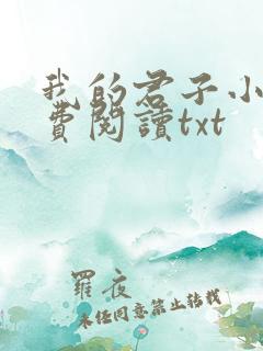 我的君子小说免费阅读txt