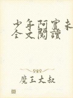 少年阿宾未删减全文阅读