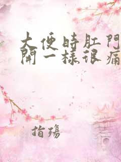 大便时肛门跟裂开一样很痛流血