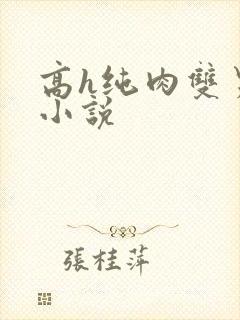 高h纯肉双男主小说