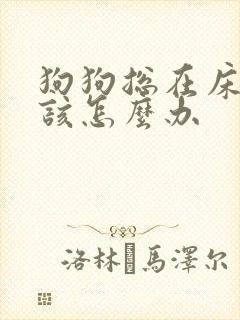 狗狗总在床上尿该怎么办