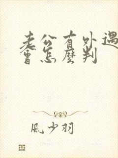 老公有外遇离婚会怎么判