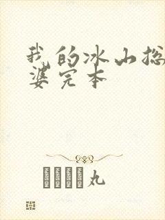 我的冰山总裁老婆完本