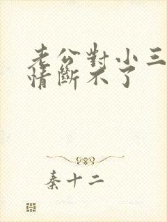 老公对小三动了情断不了