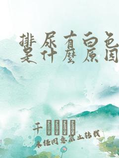 排尿有白色泡沫是什么原因