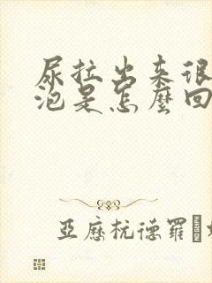 尿拉出来很多泡泡是怎么回事