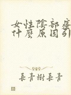 女性阴部瘙痒是什么原因引起的