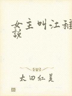 女主叫江稚的小说