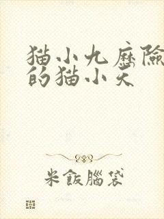 猫小九历险记中的猫小天