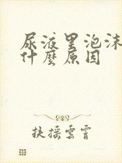 尿液里泡沫多是什么原因