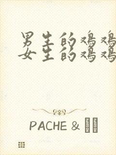 男生的鸡鸡插到女生的鸡鸡