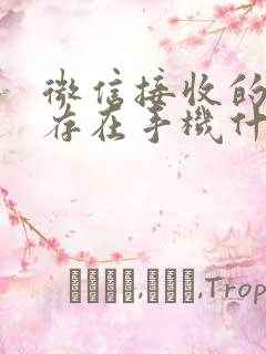 微信接收的文件存在手机什么位置vivo