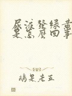 尿液发绿黄绿色是怎么回事